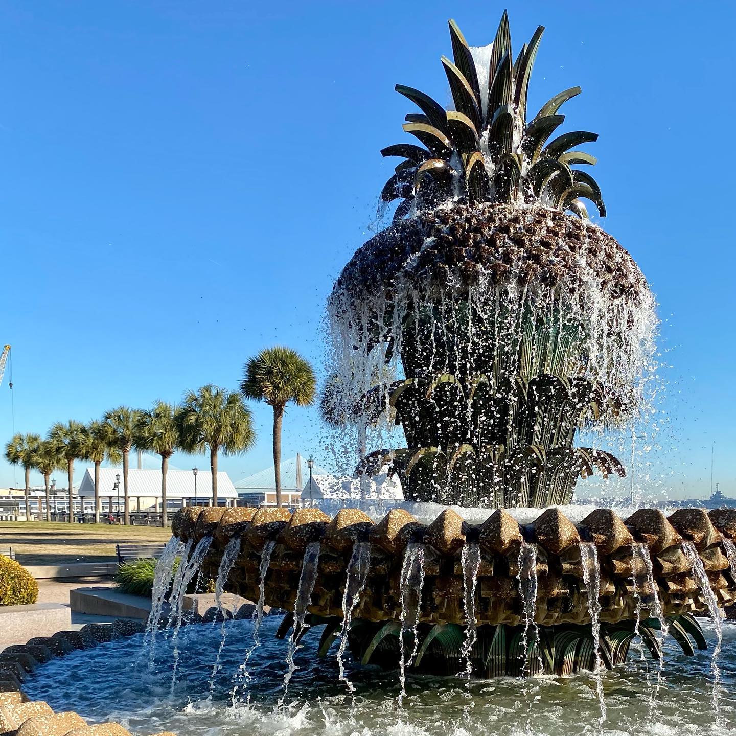 The Power of the Pineapple